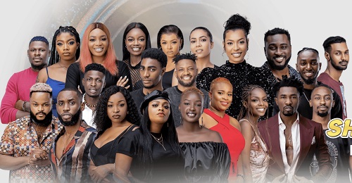 BBNaija housemates