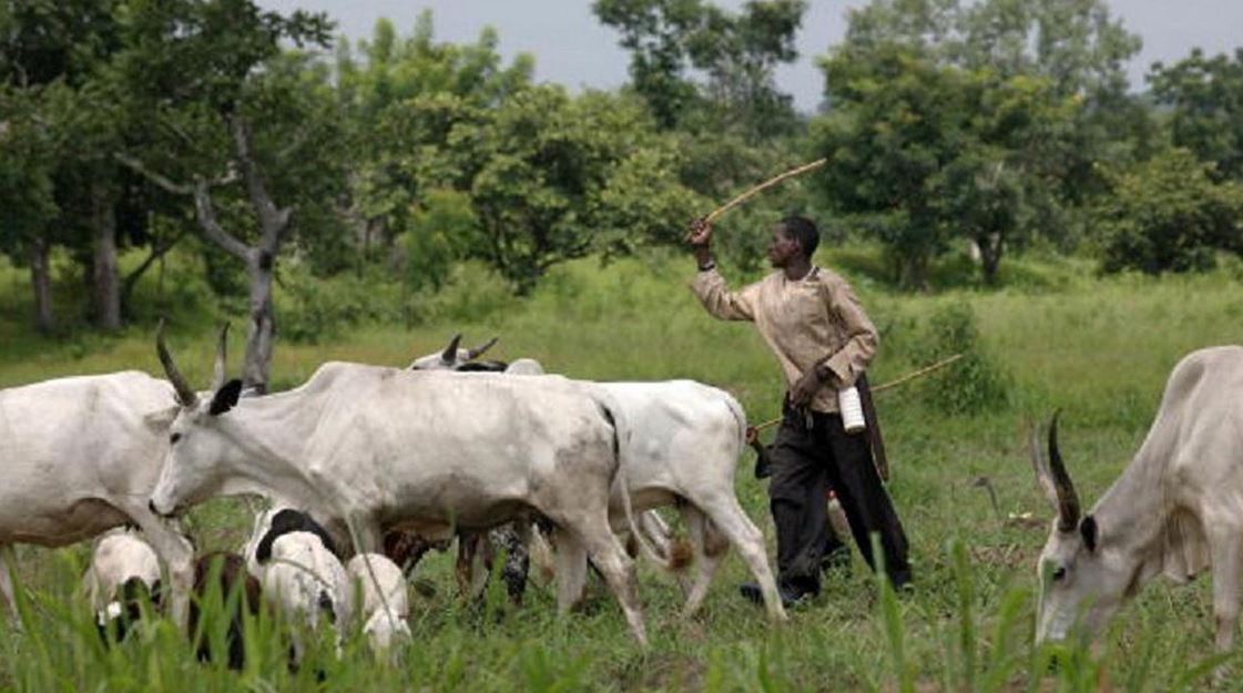 Herdsmen Abscond As Cow Kills 2 months old Baby In Delta