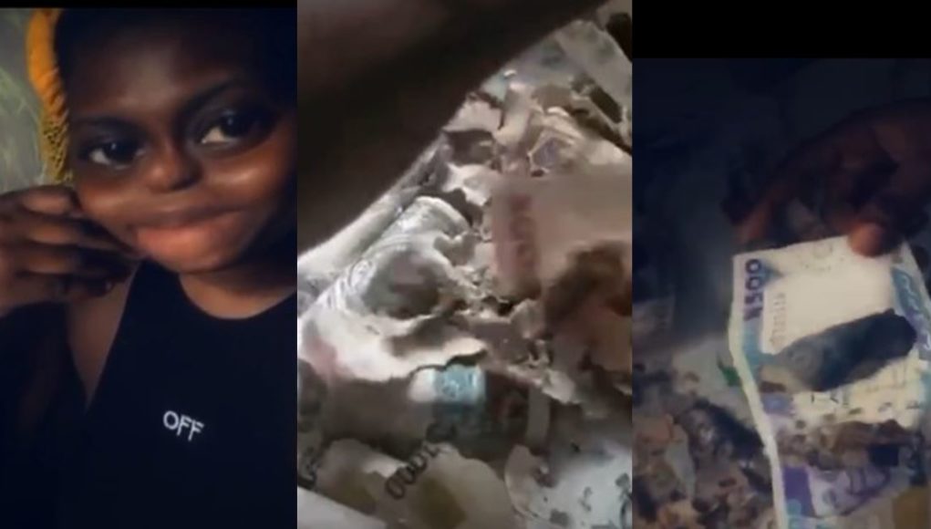 Lady cries after rats ate her money