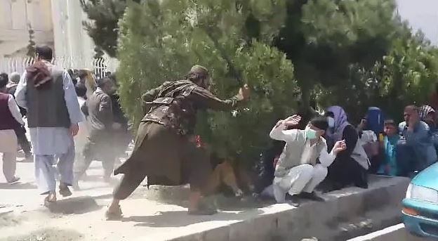 Taliban