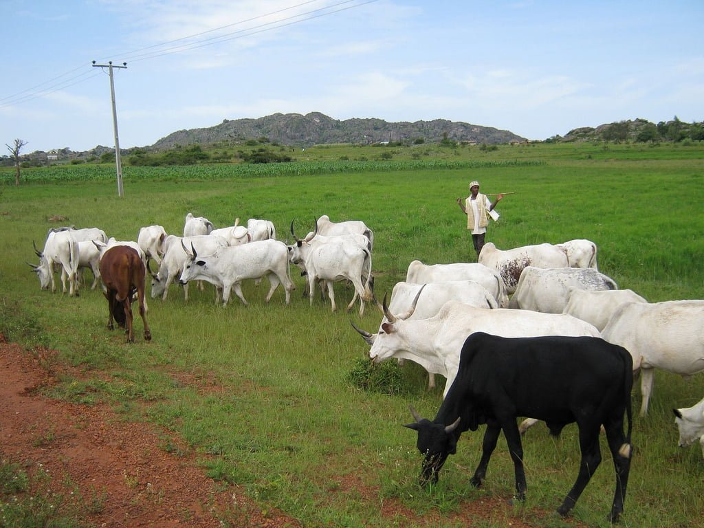 Herdsmen