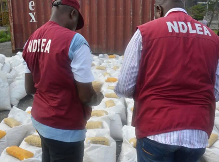 NDLEA