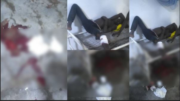 Dangote Sugar Factory 