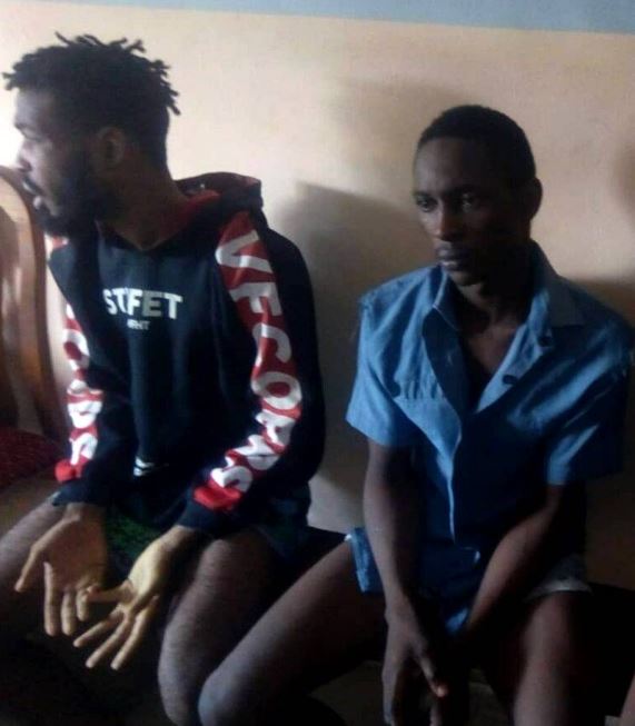 The thieves after they were arrested