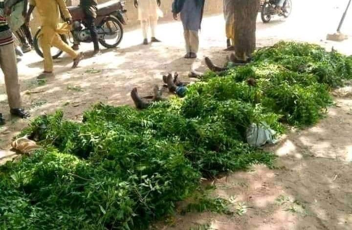The terrorists killed six at a Chinese firm in Zamfara