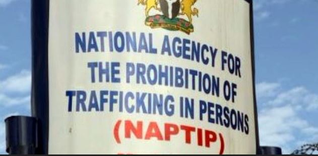 NAPTIP