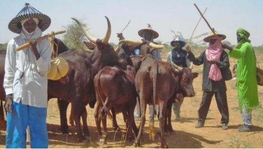 Herdsmen