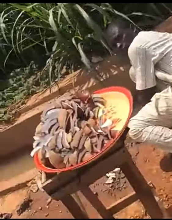 Coconut seller washing wares with gutter water