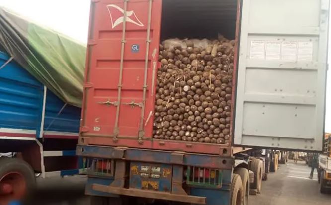 trailer