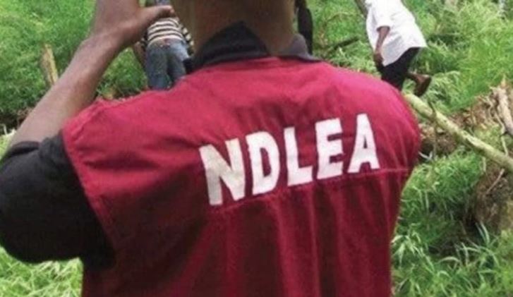 NDLEA