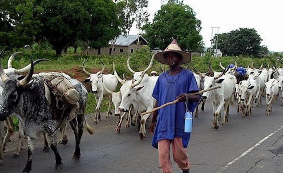 herdsmen
