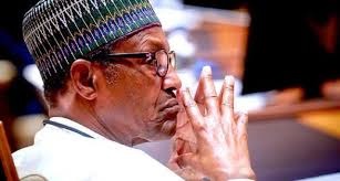 Buhari Borrowing N5.01 Trillion to Service Stolen Funds - Lawmaker