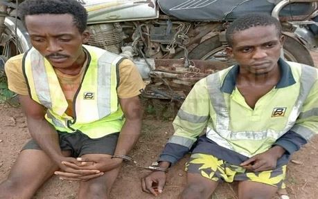 suspects