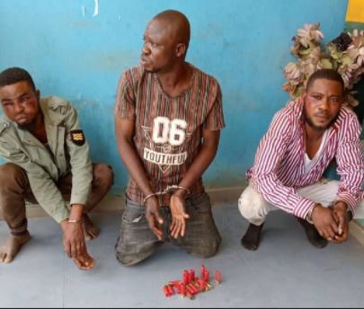 suspects