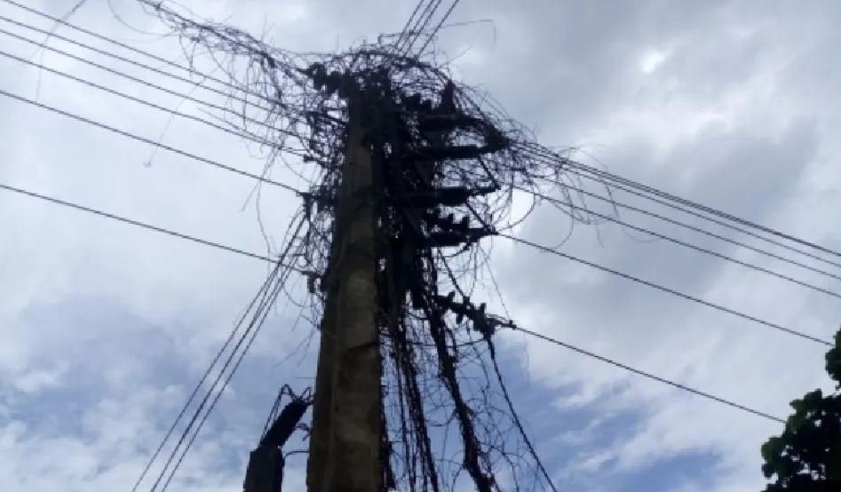 pole