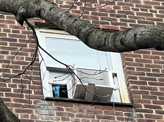 window