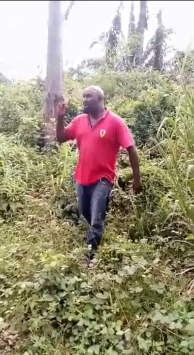 Ogwu Mayor