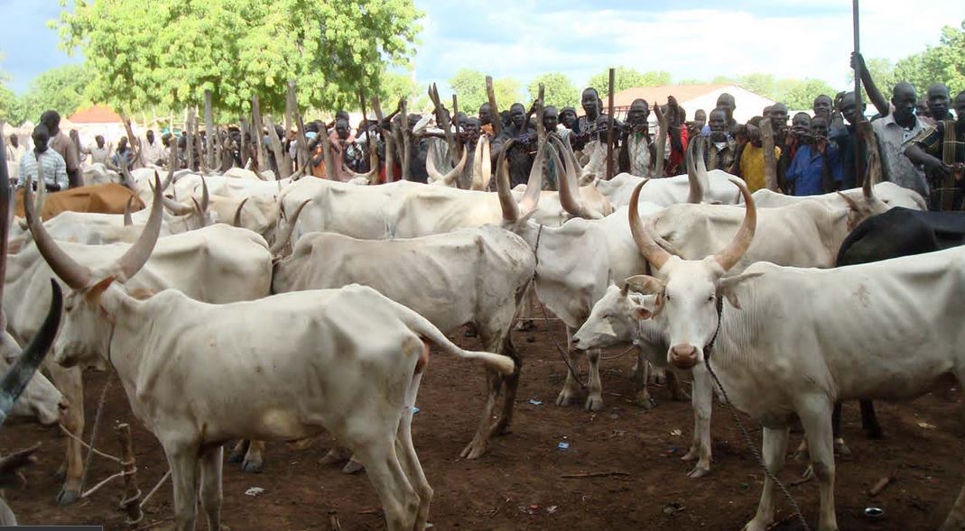 livestock