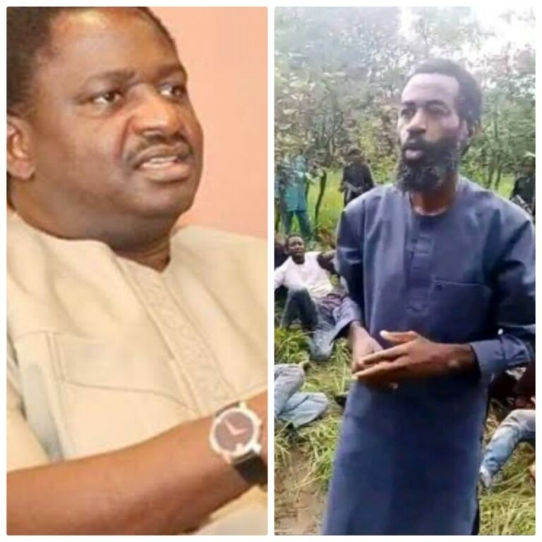 Femi Adesina