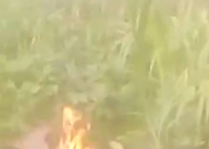 fire