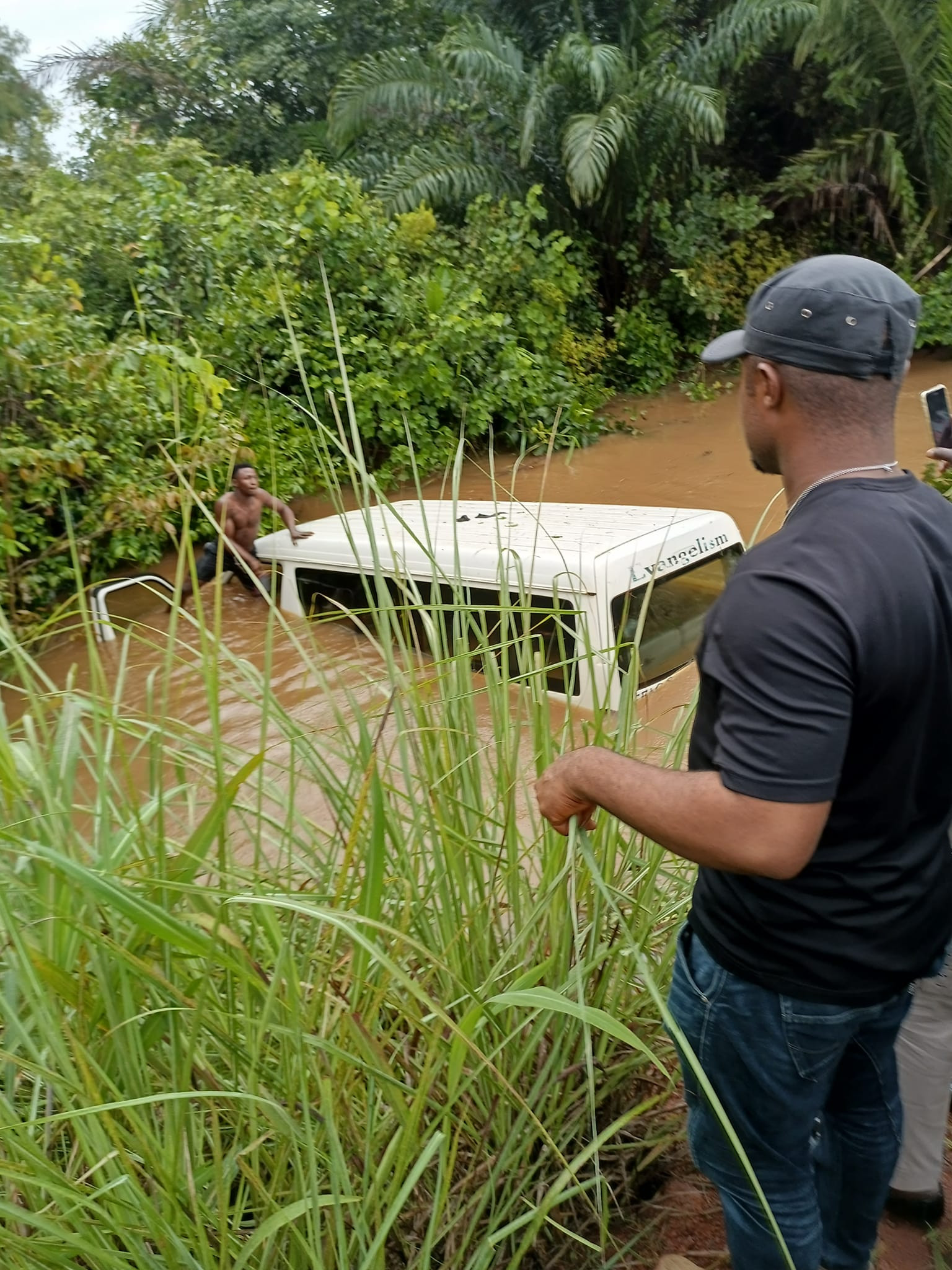Vehicles in swamp