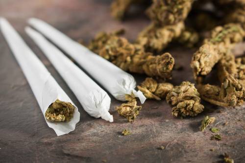 Marijuana