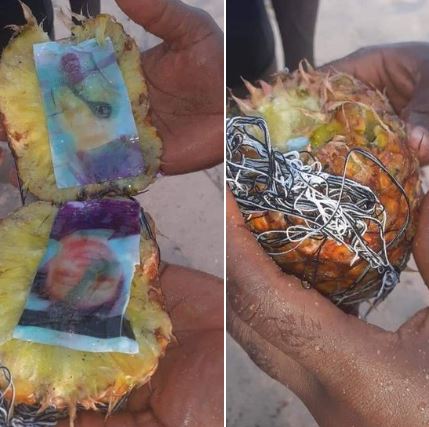 Pineapple