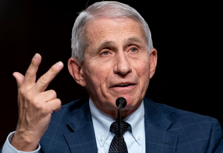 Dr Fauci