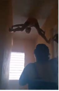 boy
