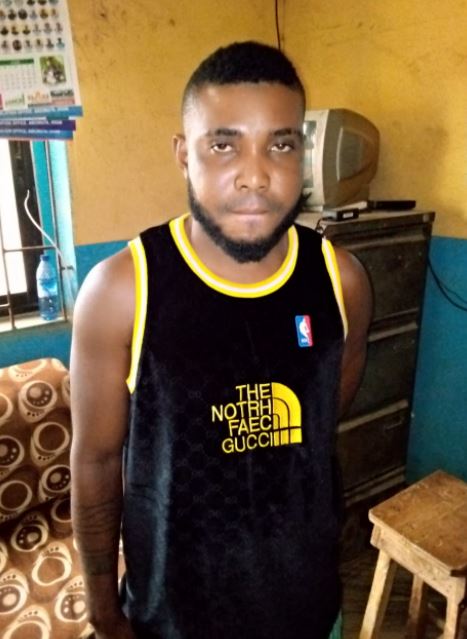 Kingsley