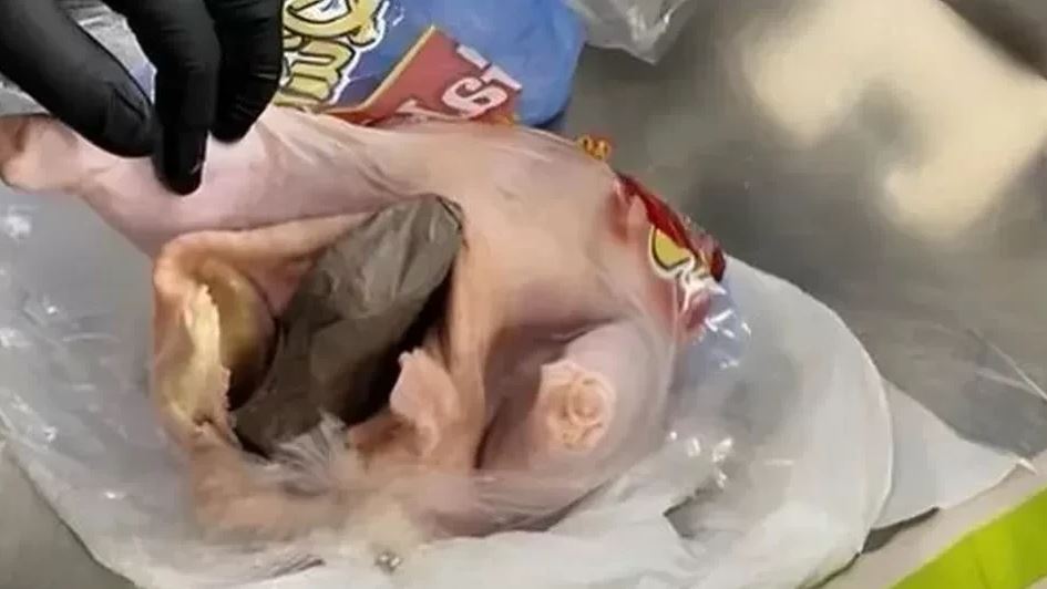 chicken