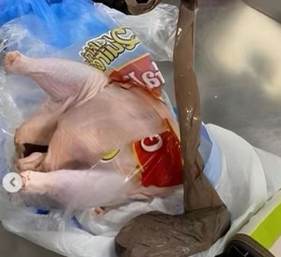 chicken