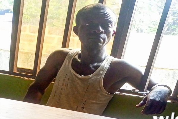 Kenneth Nwangwu