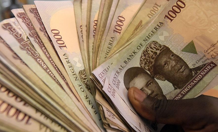naira notes