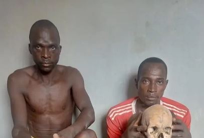 suspects