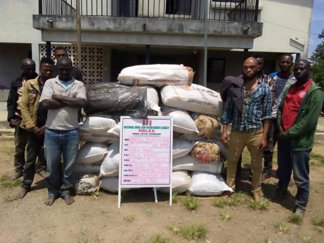 Photo Of 8 Suspected Bandits Who Were Nabbed By NDLEA In Ondo Forest