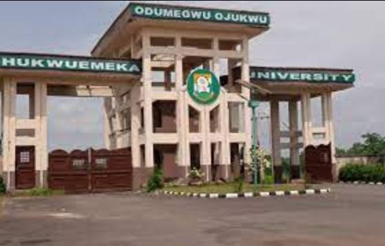 Three Students Of Chukwuemeka Odumegwu Ojukwu University In Anambra Found Dead In Their Lodge