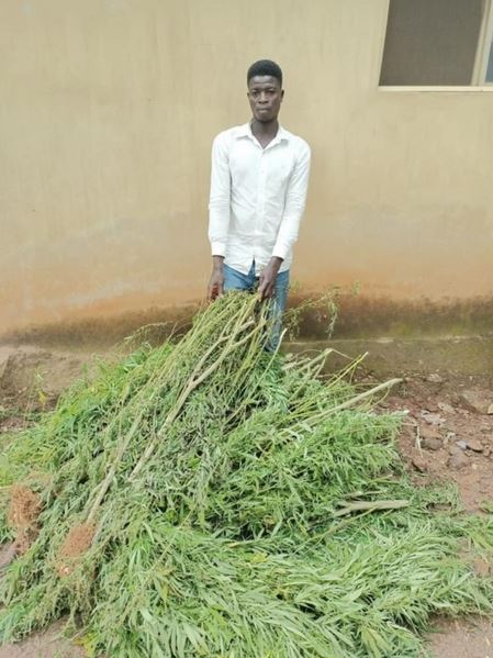 farmer