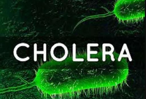 Cholera 