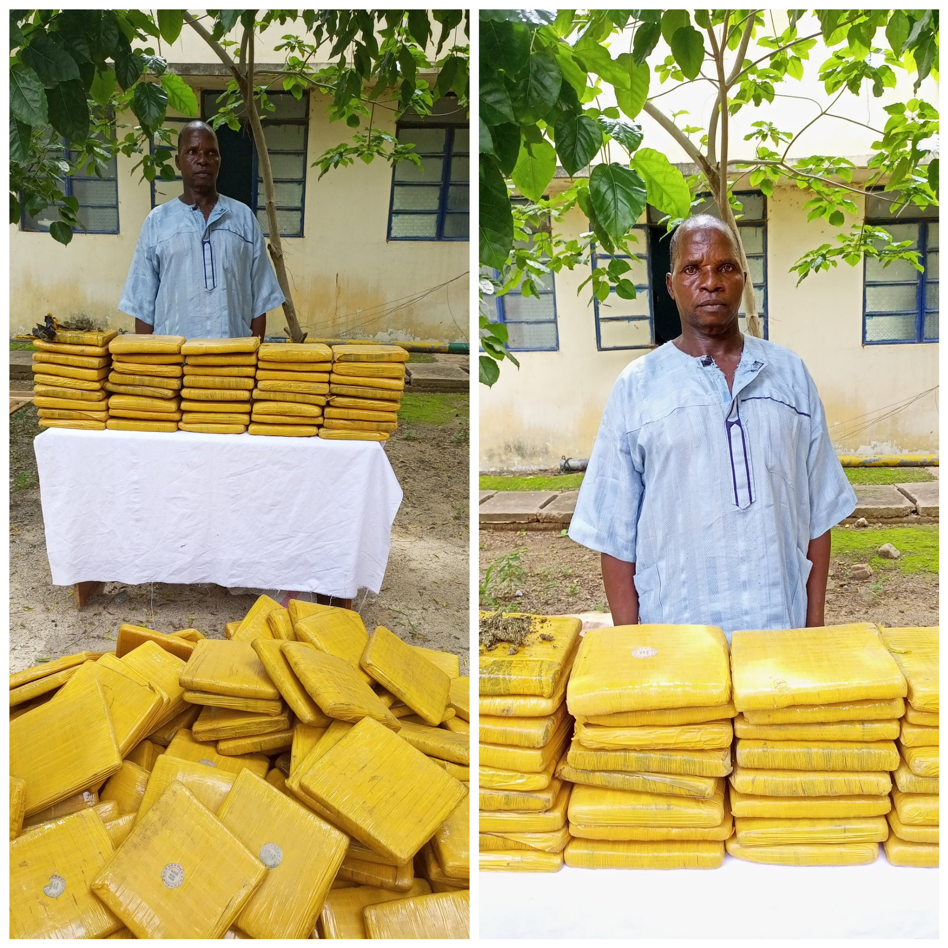 Photos Of A Suspected Transborder Indian Hemp Dealer Who Was Nabbed By Police In Katsina