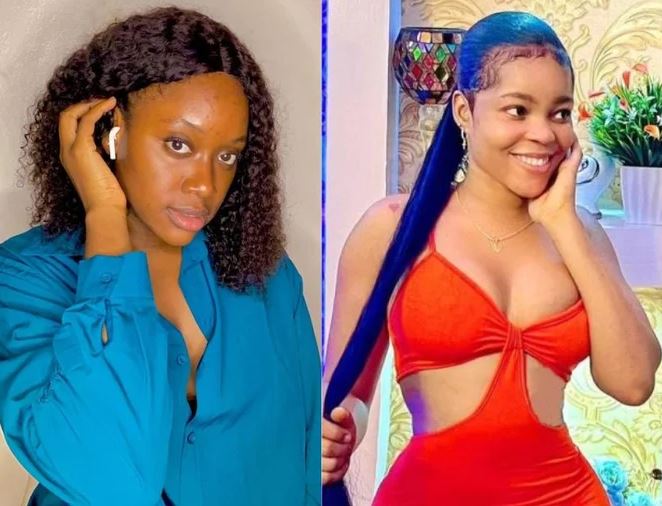 BBNaija: Her Pitch Resonated With Me – Chichi Reveals Why She Saved Daniella (Video)