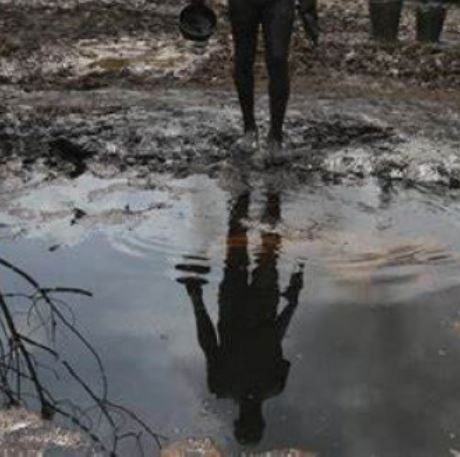 oil