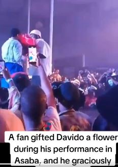 Davido