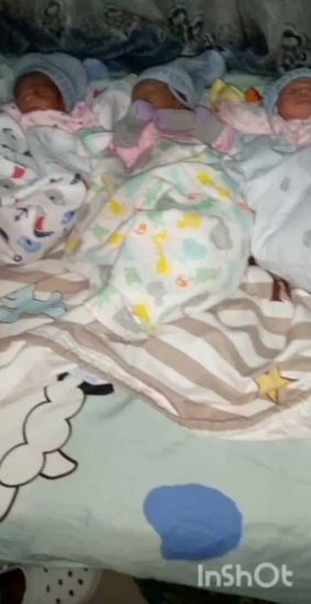 babies