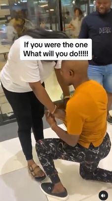 proposal