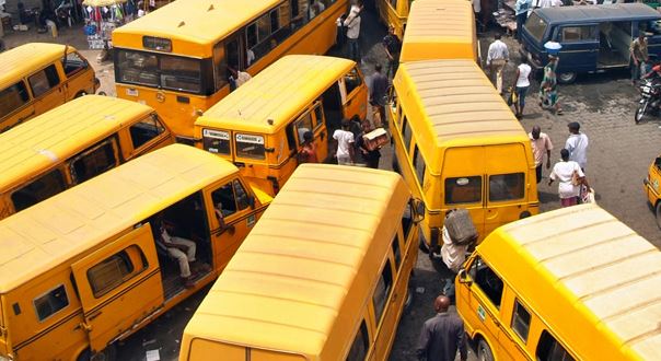 buses