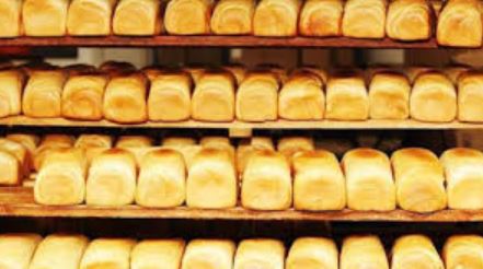 Bread