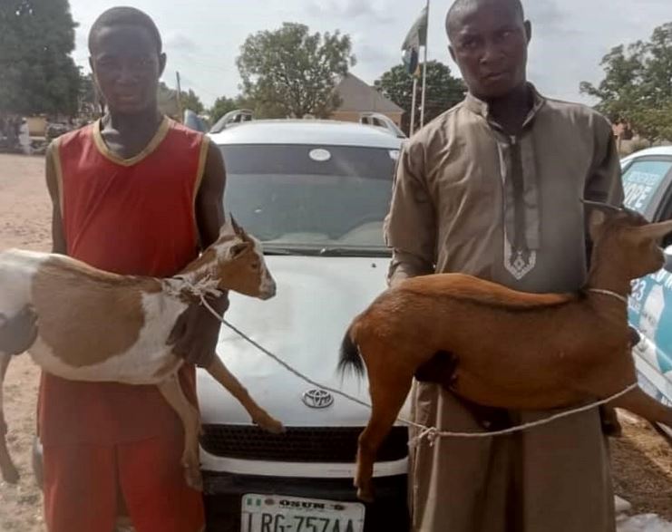 Aliyu Zaki, Umar Mohammed