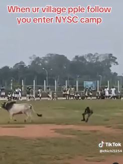 NYSC