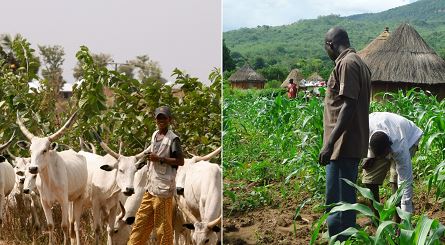 Herders